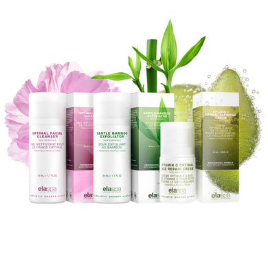 Vibrant Skin Set